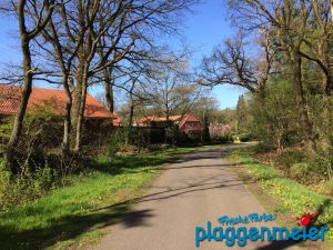 6 Gründe für den Malerberuf - Teil 4: Karriere machen! - Arno